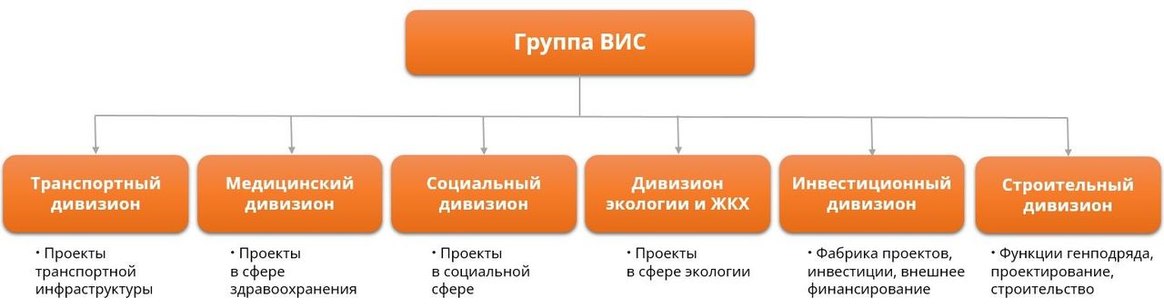 Ведомственная информационная система это