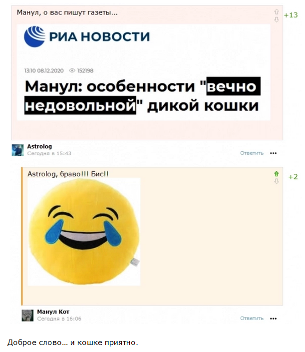 Нам юмор строить и жить помогает